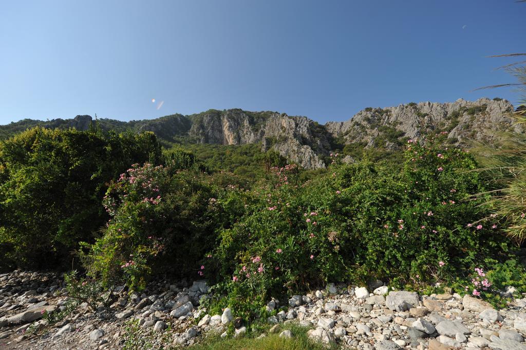 Olympos Koyevi Countryhouse Luaran gambar