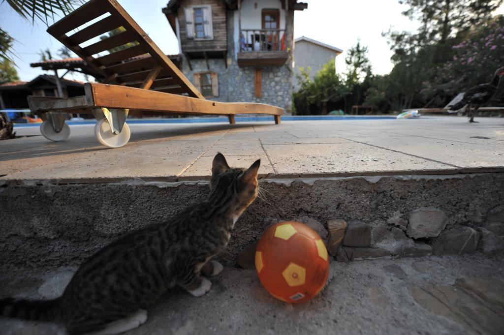 Olympos Koyevi Countryhouse Luaran gambar